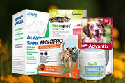 veterinaria